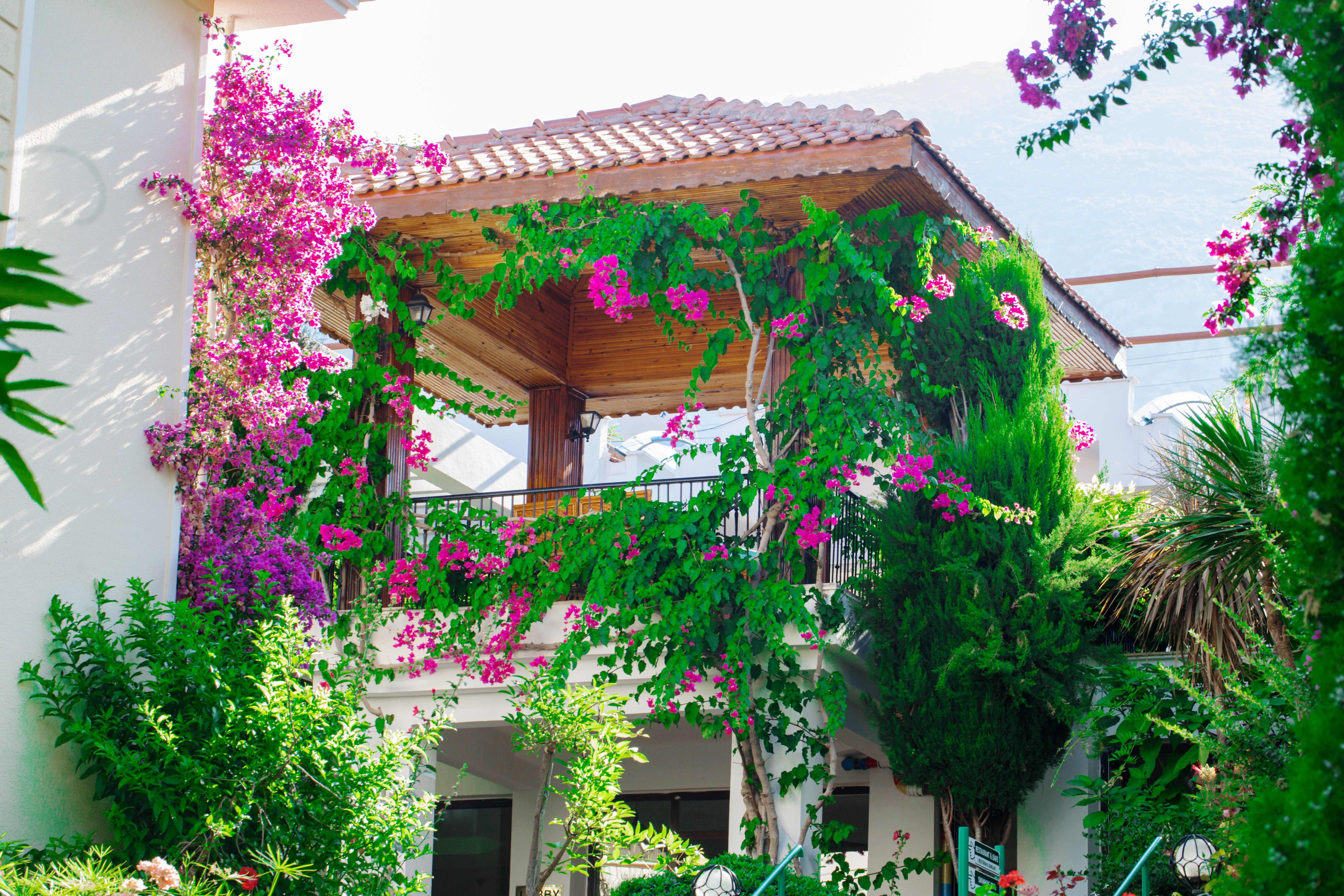 Yel Holiday Resort Ölüdeniz Eksteriør billede